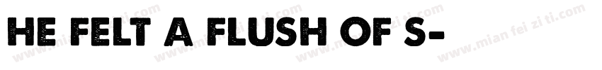 he felt a flush of s字体转换